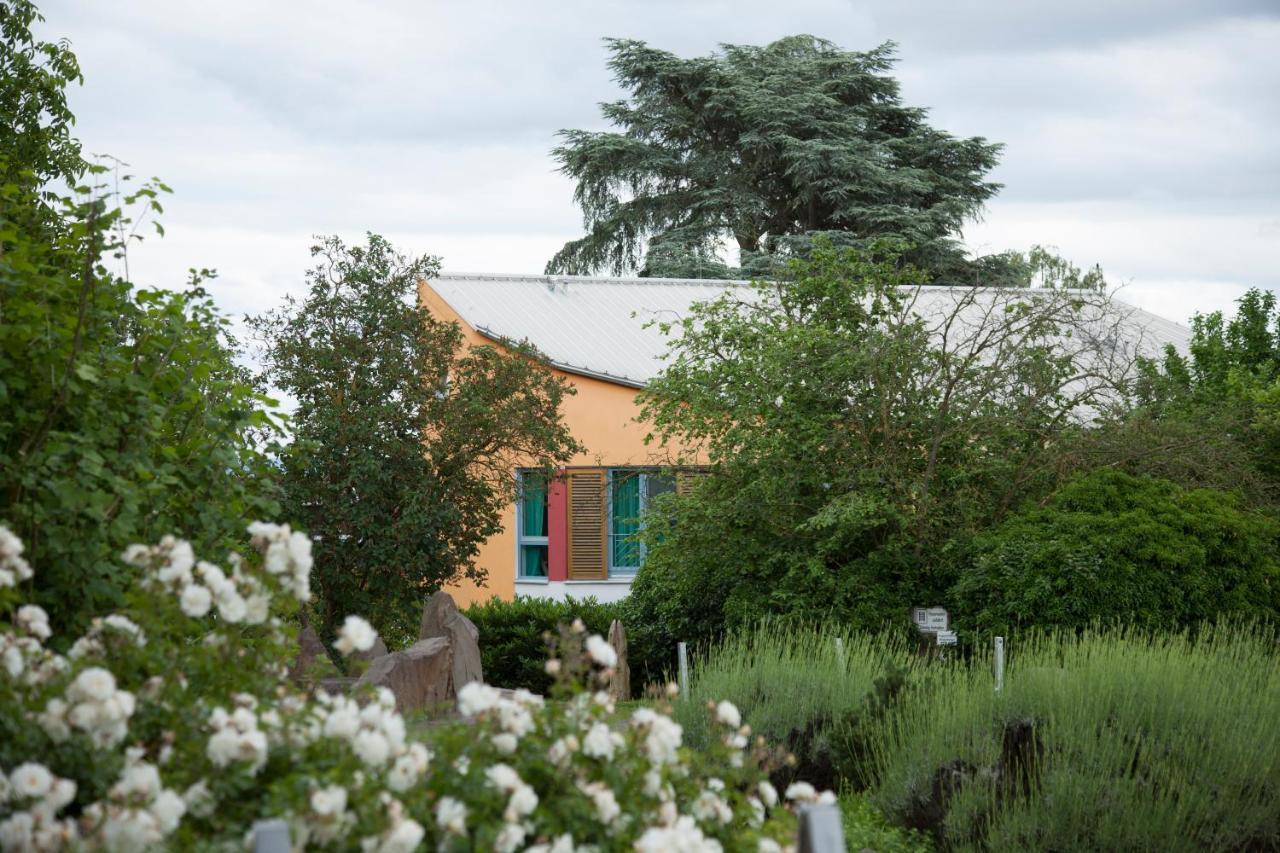 Alanus Gaestehaus Alfter Exterior photo